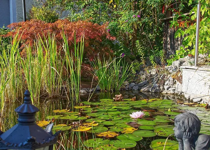 Herold * バーデン＝バーデン